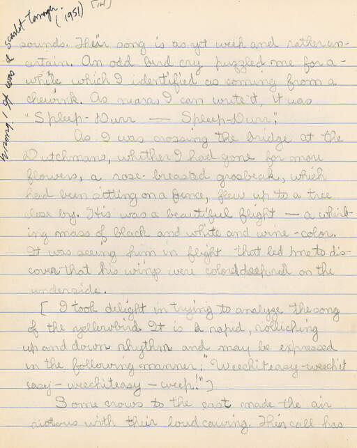 Untitled (Journal Pg 14)