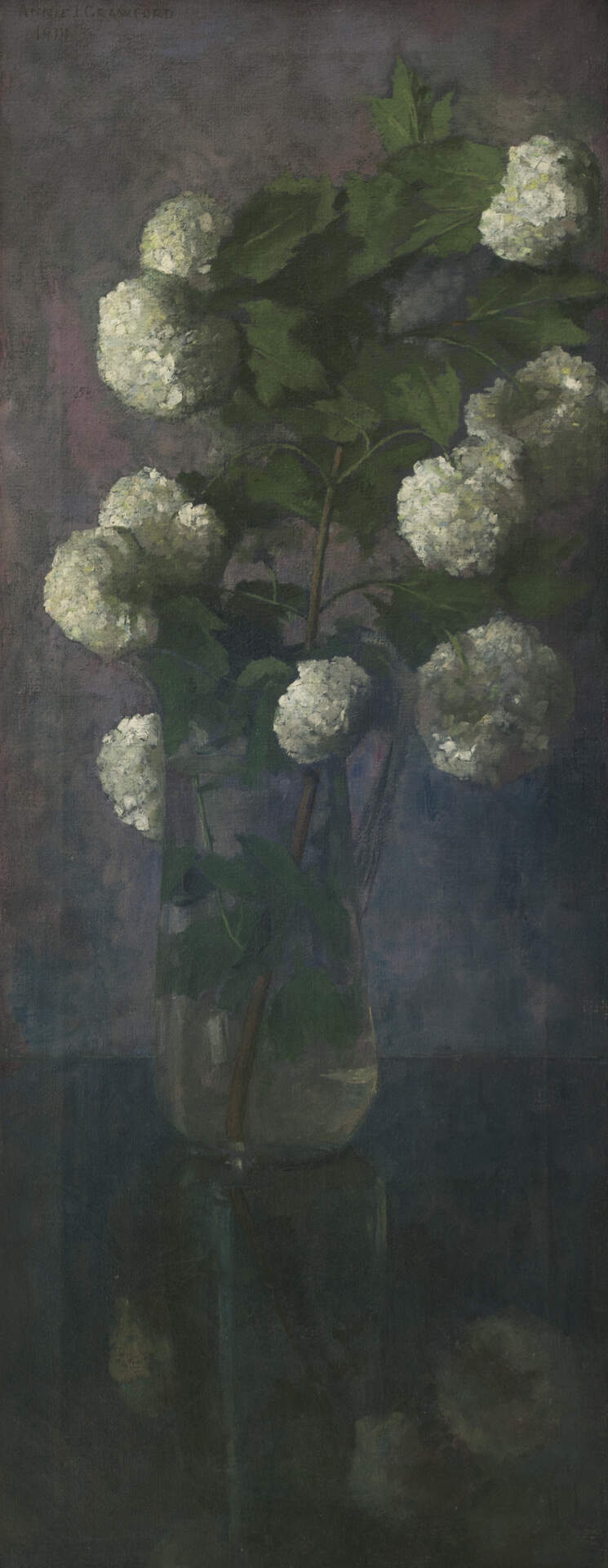 Untitled [Hydrangeas]