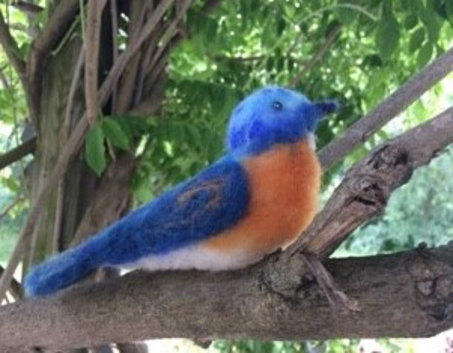 Burchfield Bluebird