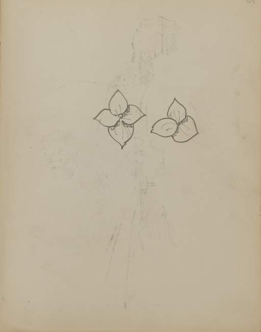 Untitled (two flowers)