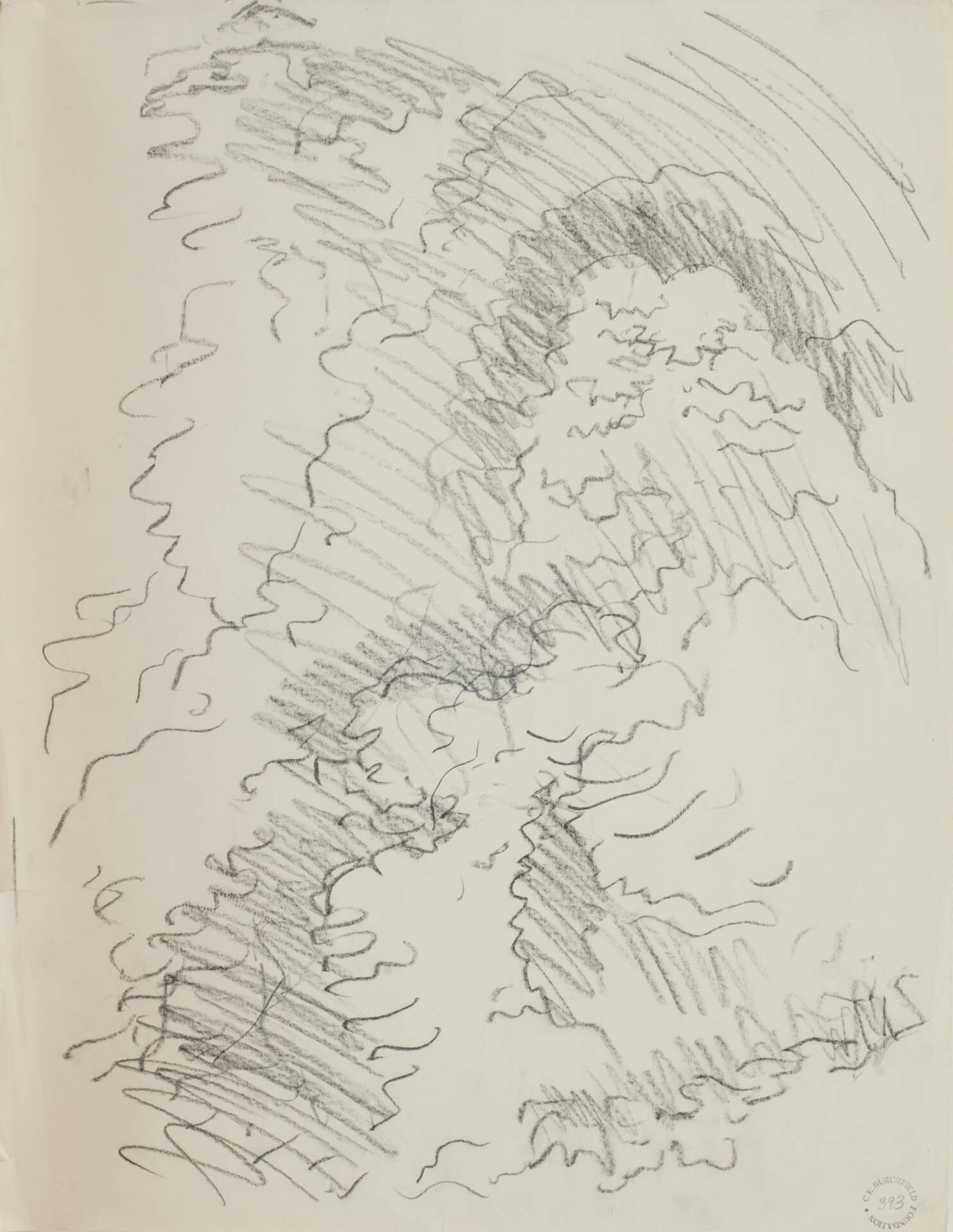 Foliage Study
