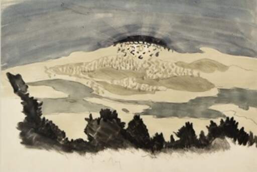 Untitled (&ldquo;Billions of tiny flies&rdquo;)