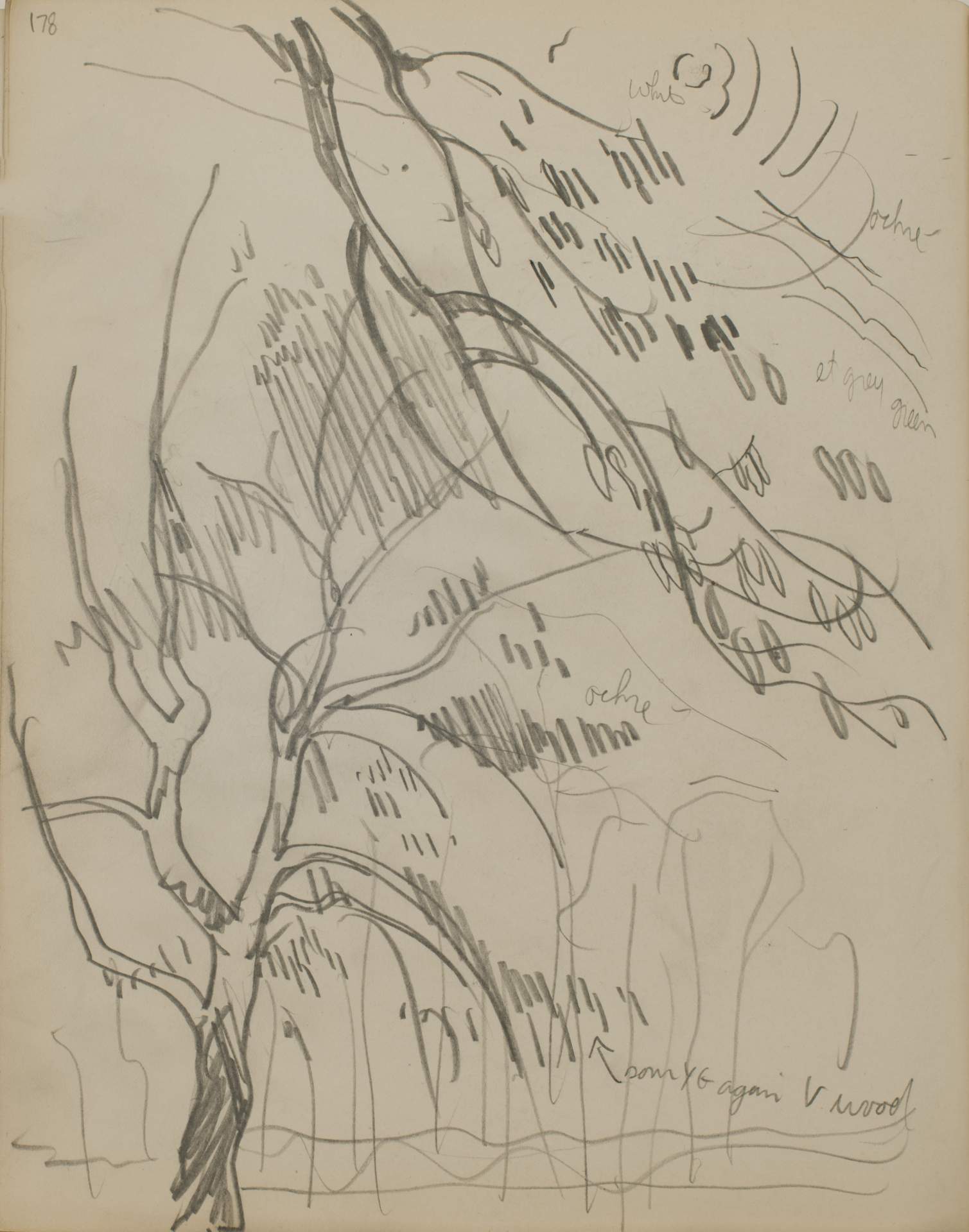Untitled (sketch of a forest)