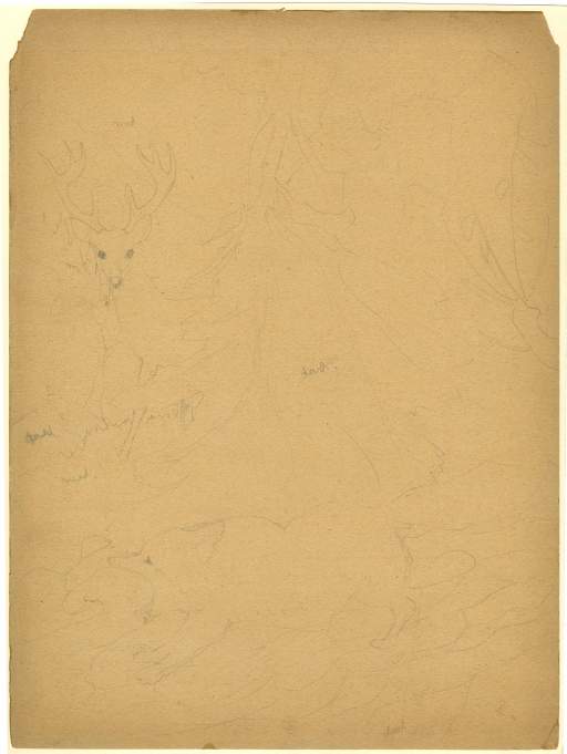 Drawings of Fables [Deer and Fox]