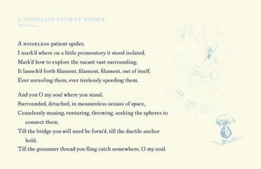 A Noiseless Patient Spider