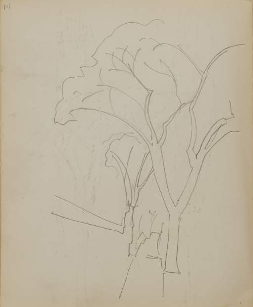 Untitled (sketch of two trees and a path)