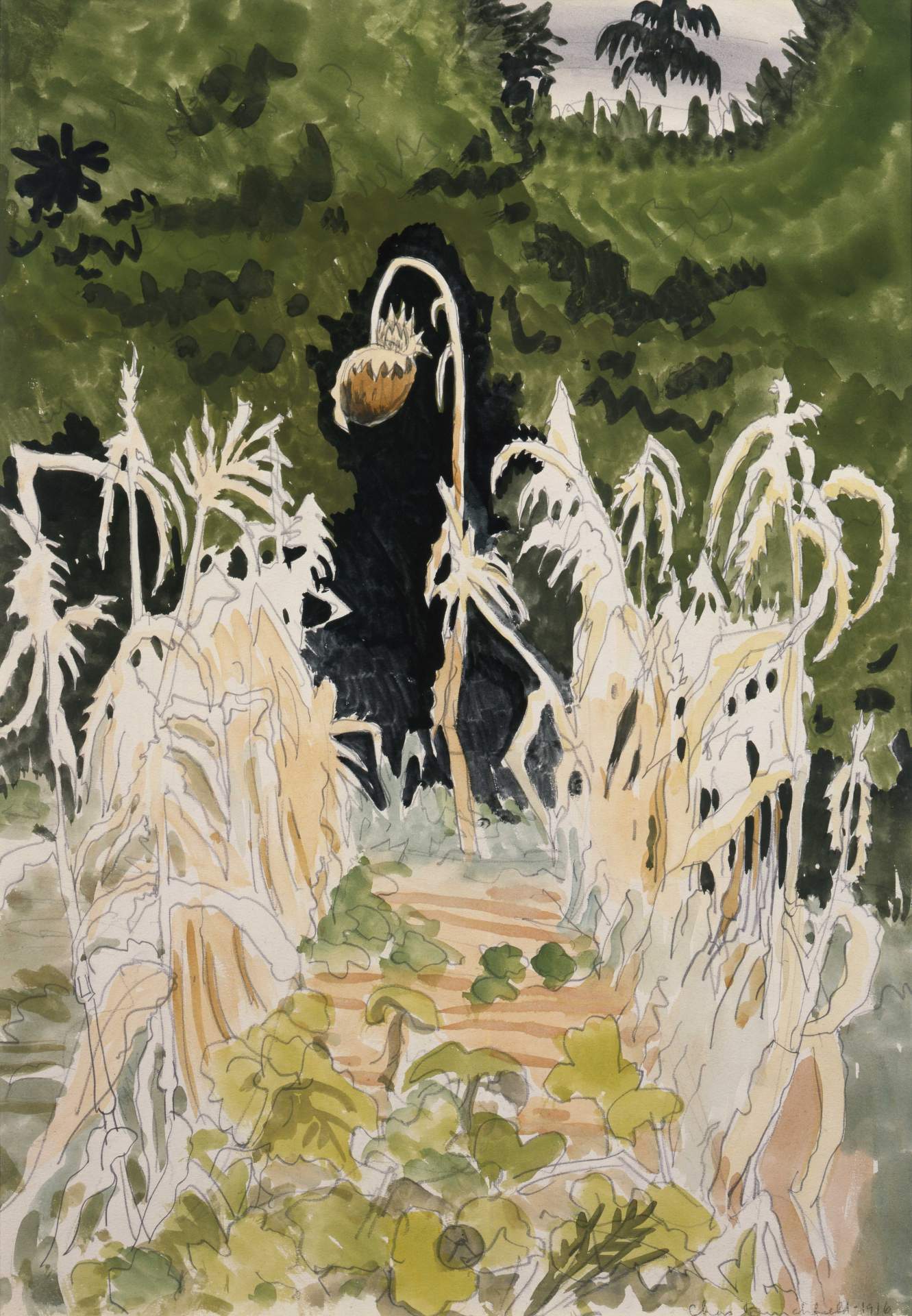 Ghost Plants (Corn and Sunflowers)