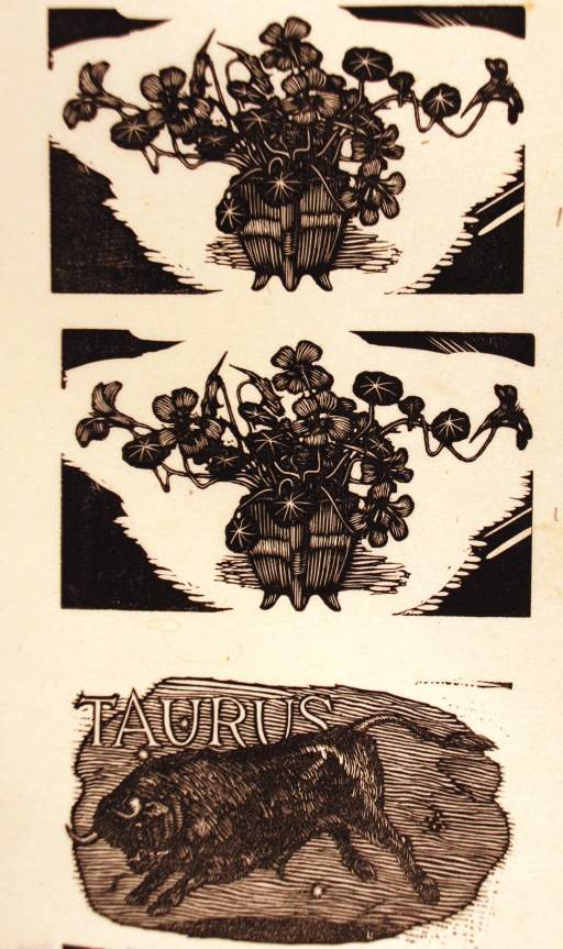 Nasturtium / Taurus