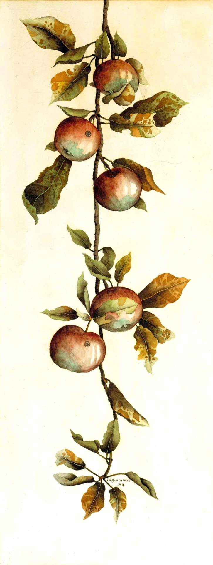 Branch of Apples