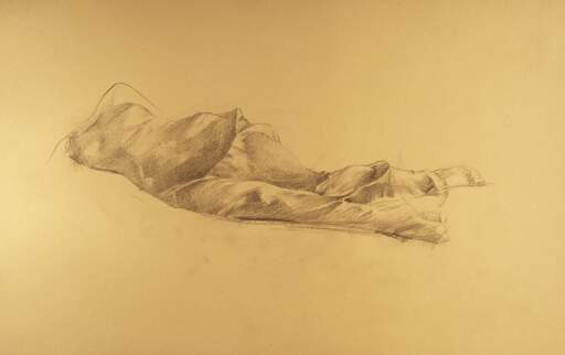 Reclining Torso