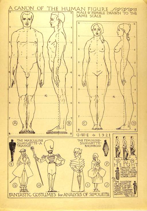 A Canon of the Human Figure Male and Female Drawn to the Same Scale