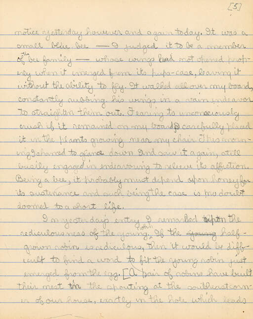 Untitled (Journal Pg 5)