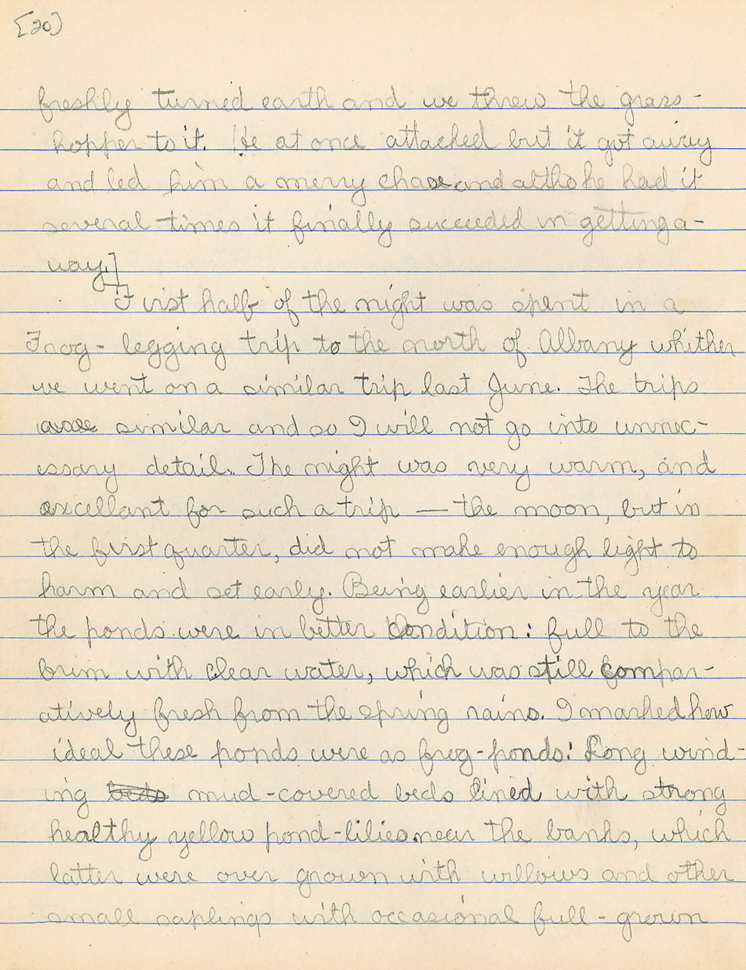 Untitled (Journal Pg 20)