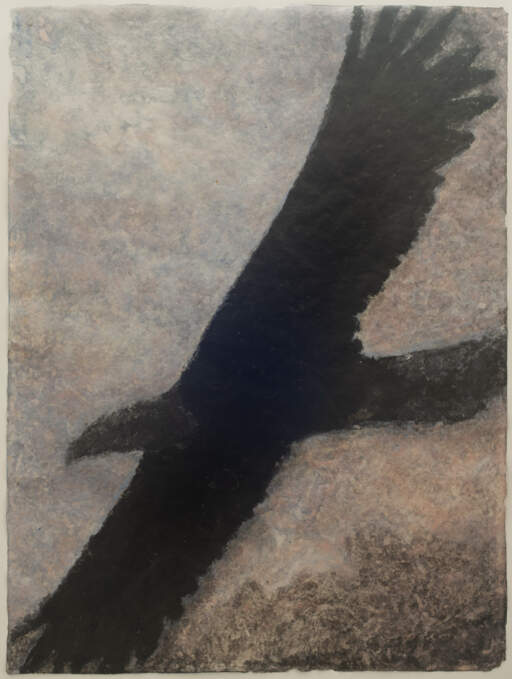Bird of Prey