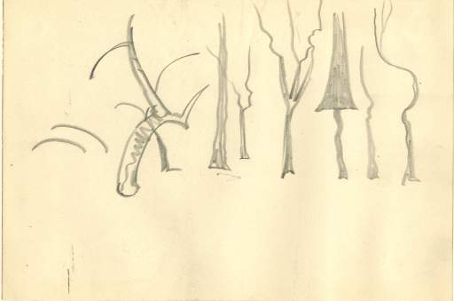 Sketch of several trees