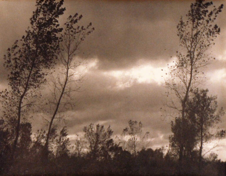 Art in the Buffalo Area: 1920-1930