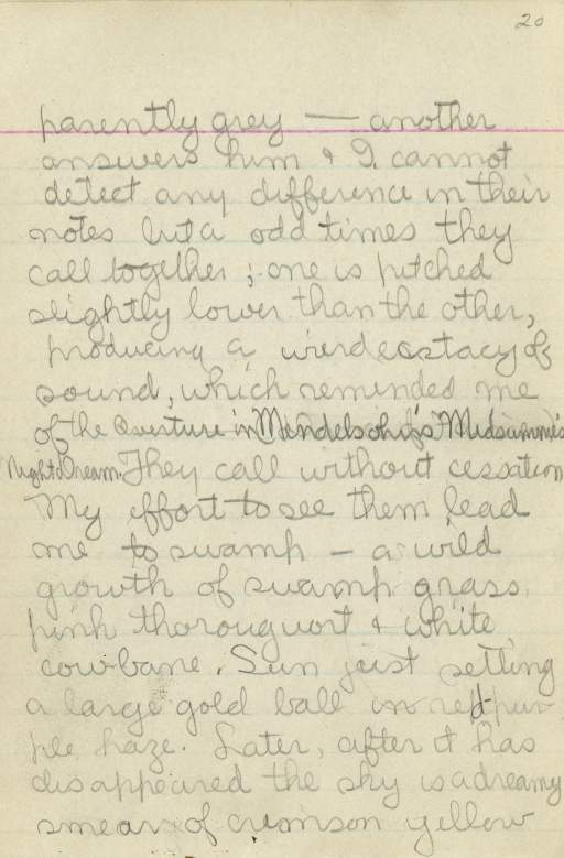 Untitled (Journal Page), Pg 20