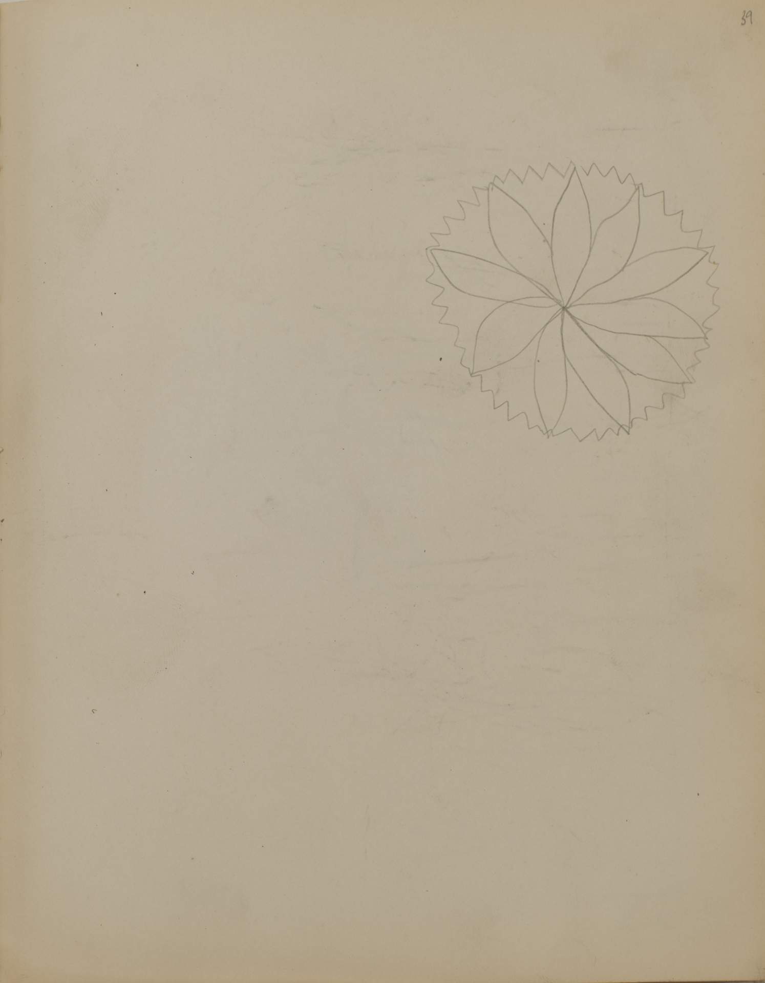 Untitled (sketch of flower)