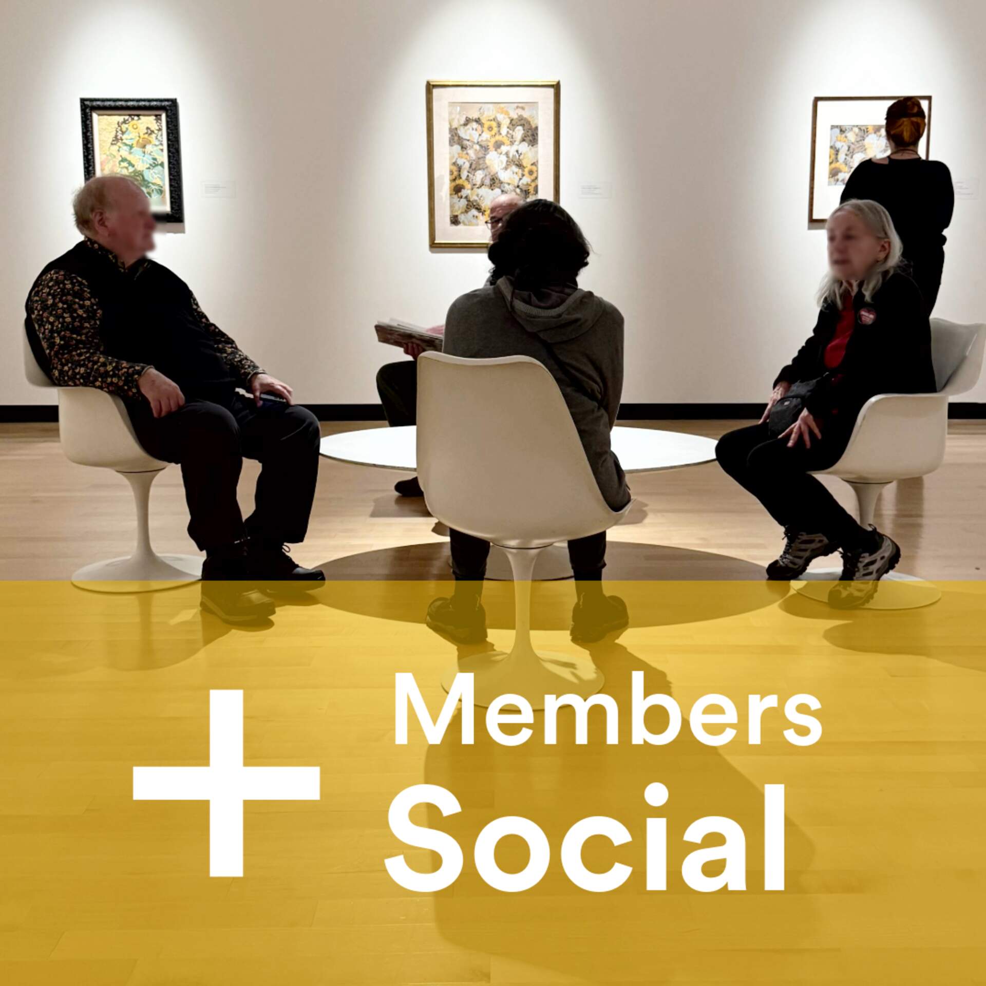 Members Social