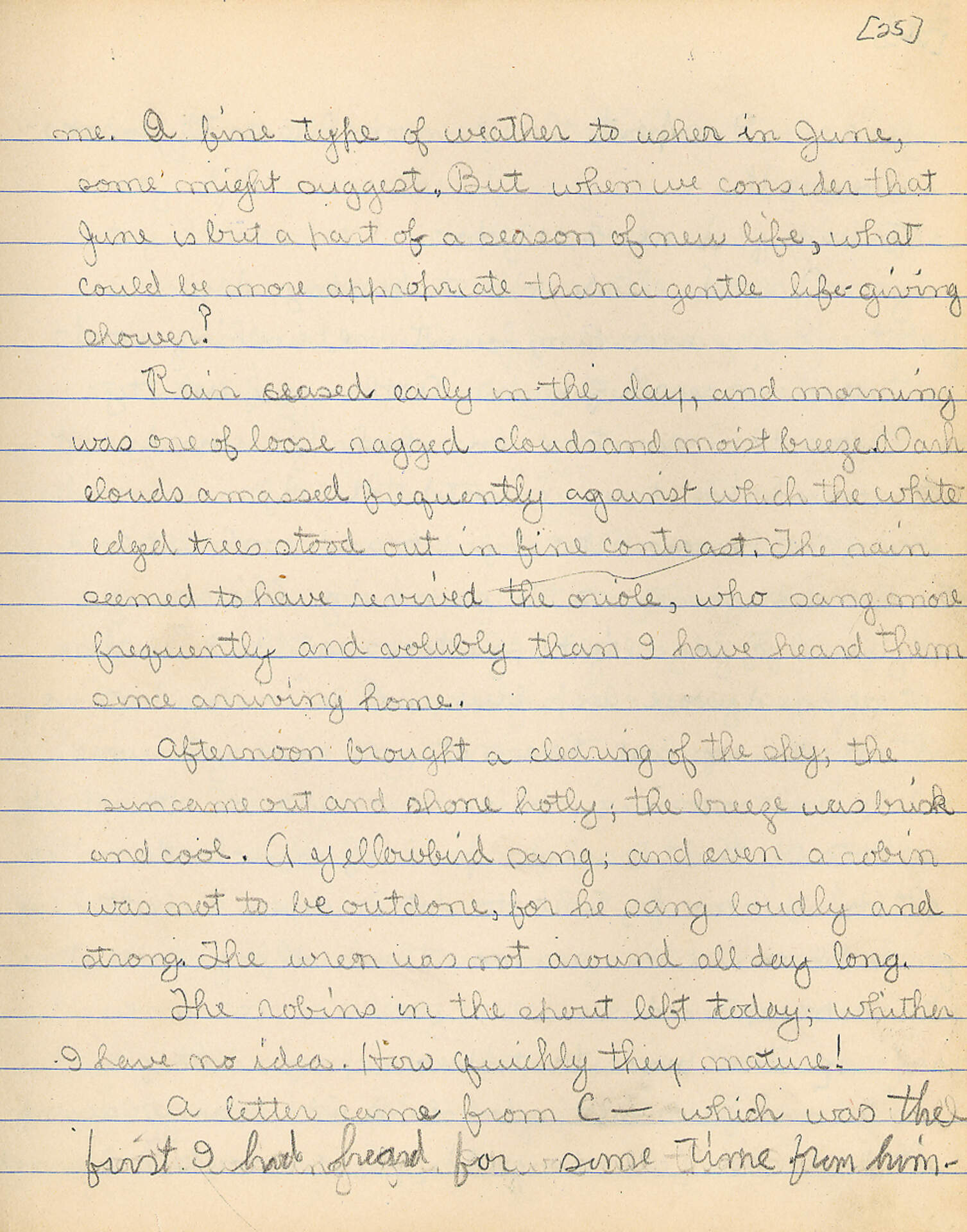 Untitled (Journal Pg 25)