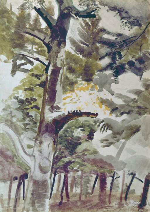 Trees