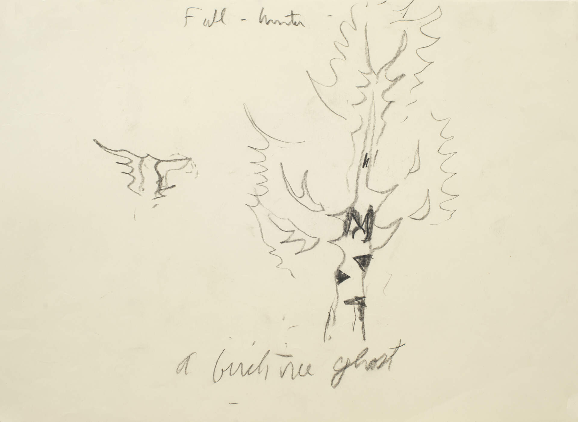 Untitled (A Birch Tree Ghost)