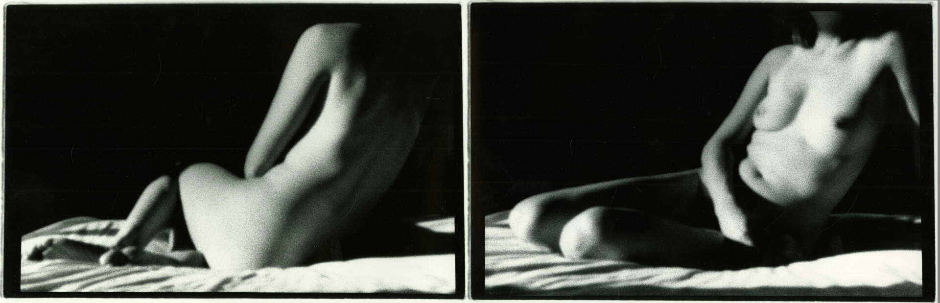 Odalisque Diptych