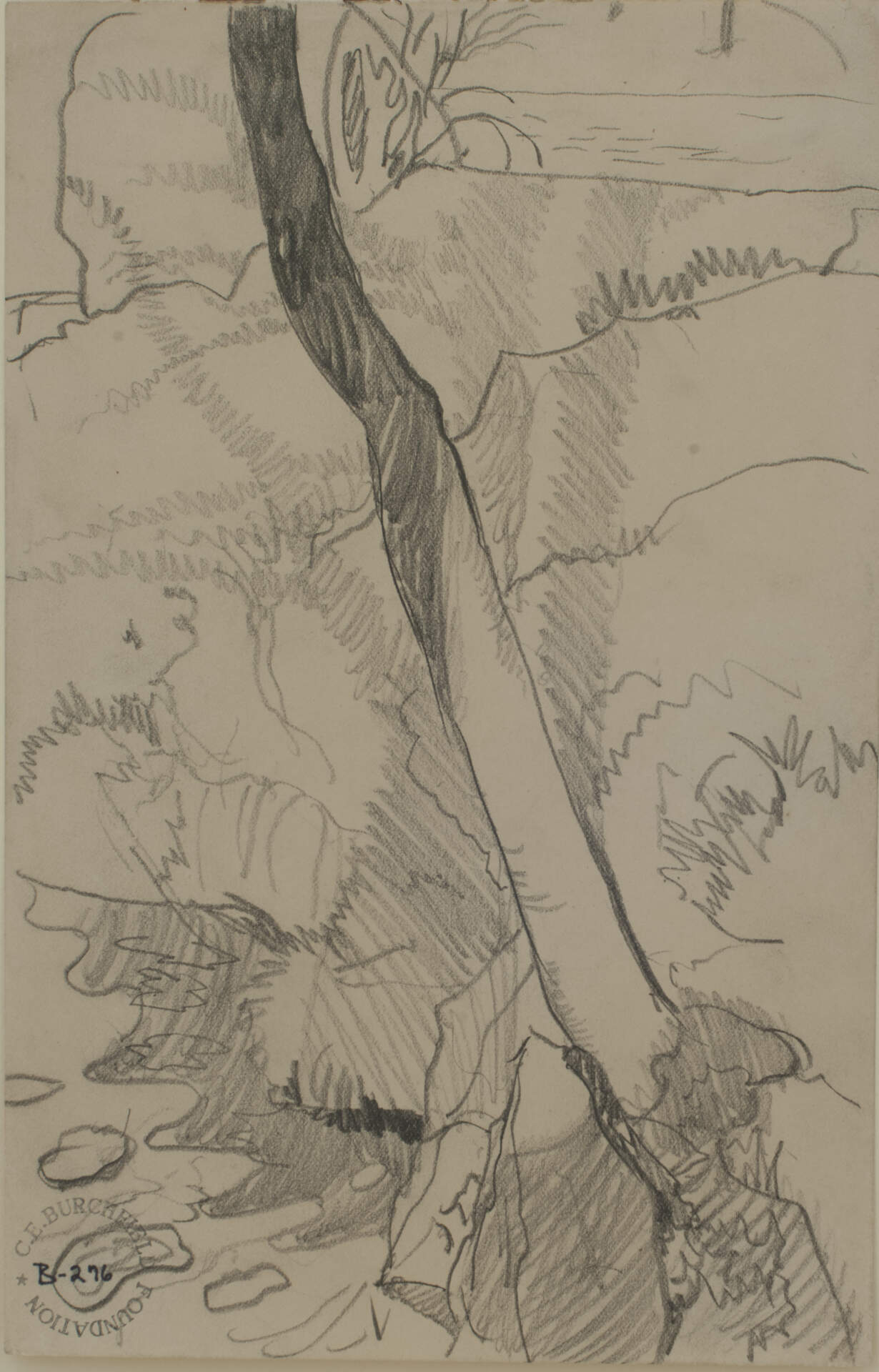 Rocks and Tree