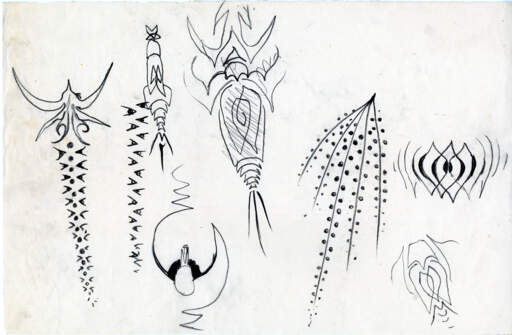 Study from the folio, 1917 &ndash; SPIDER