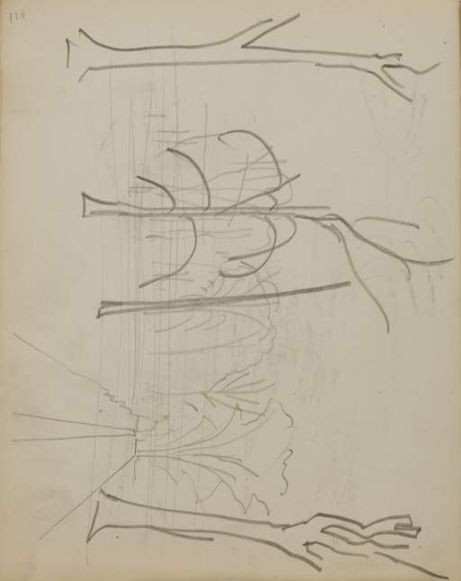 Untitled (sketch of trees)