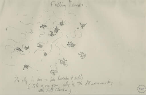 Falling Leaves