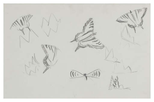 Eastern Tiger Swallowtail (Study for Mid-June)