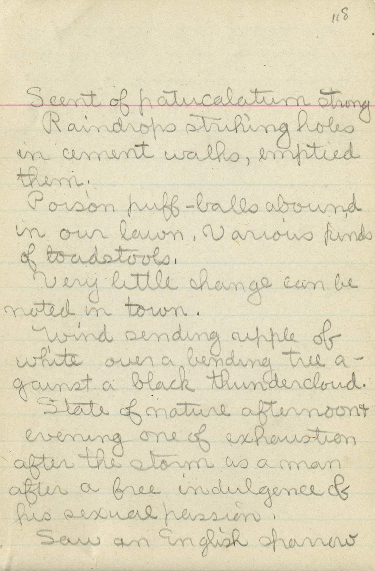 Untitled (Journal Page), Pg 118