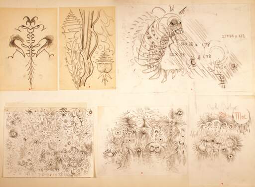 Name Doodle Charles, Chrysalis, Monarch caterpillar and more