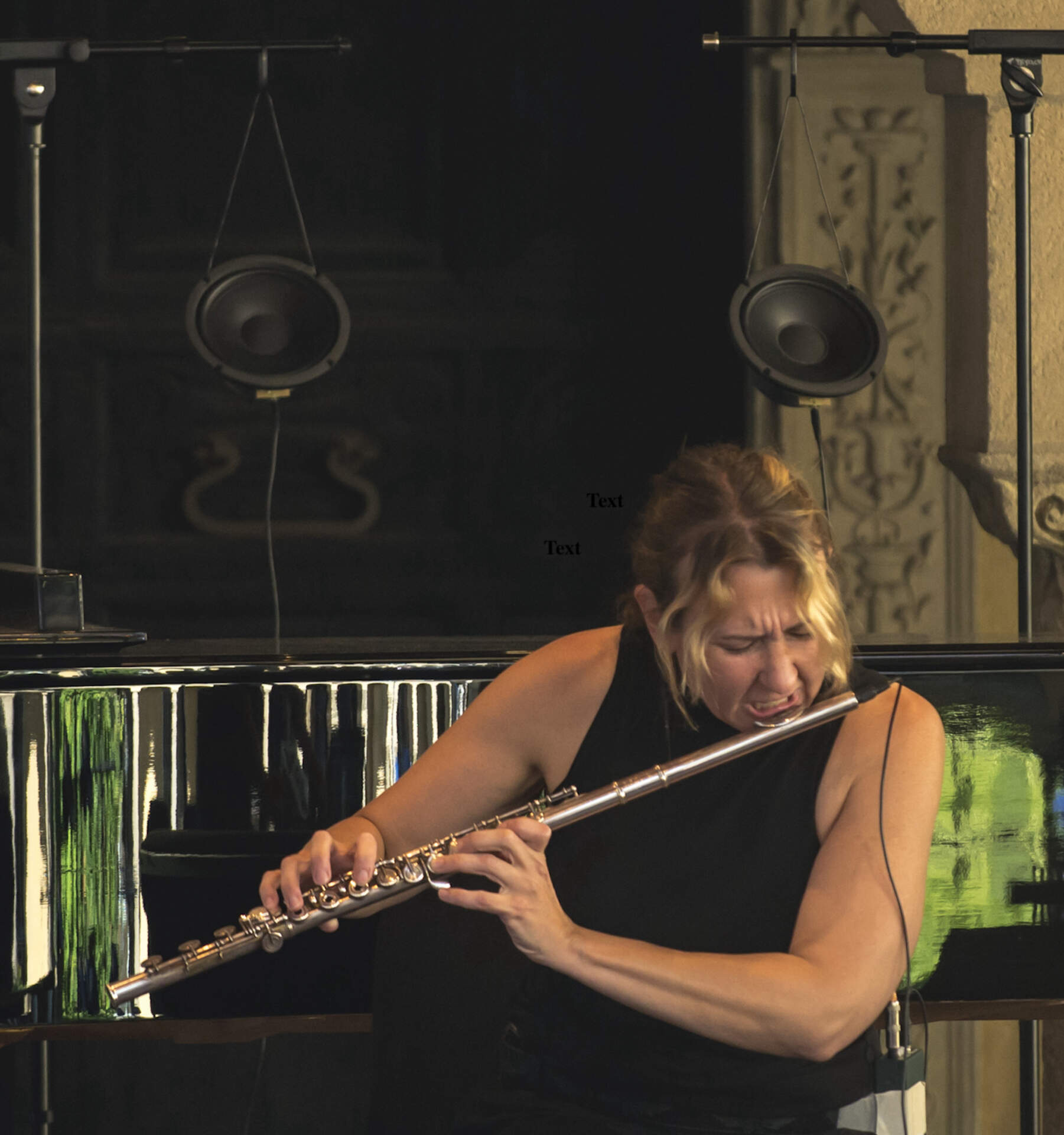 Serenades for Settling Final Performance 