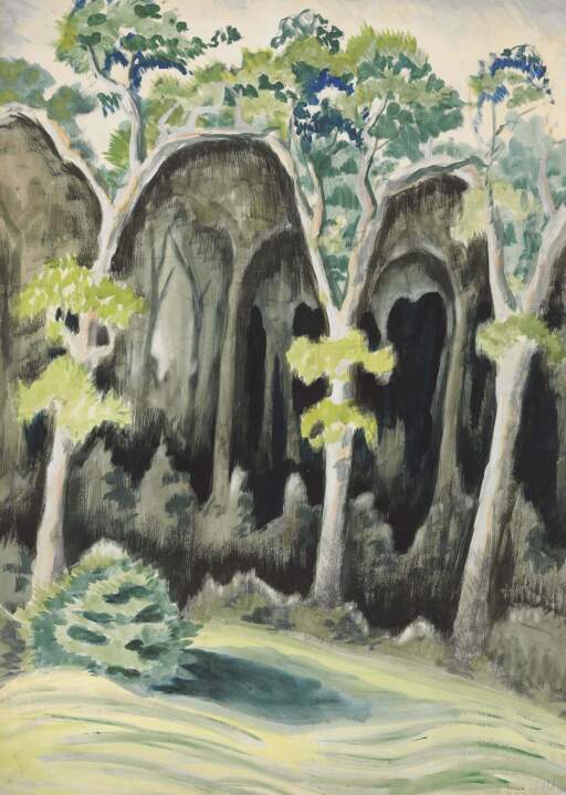 In the Deep Woods