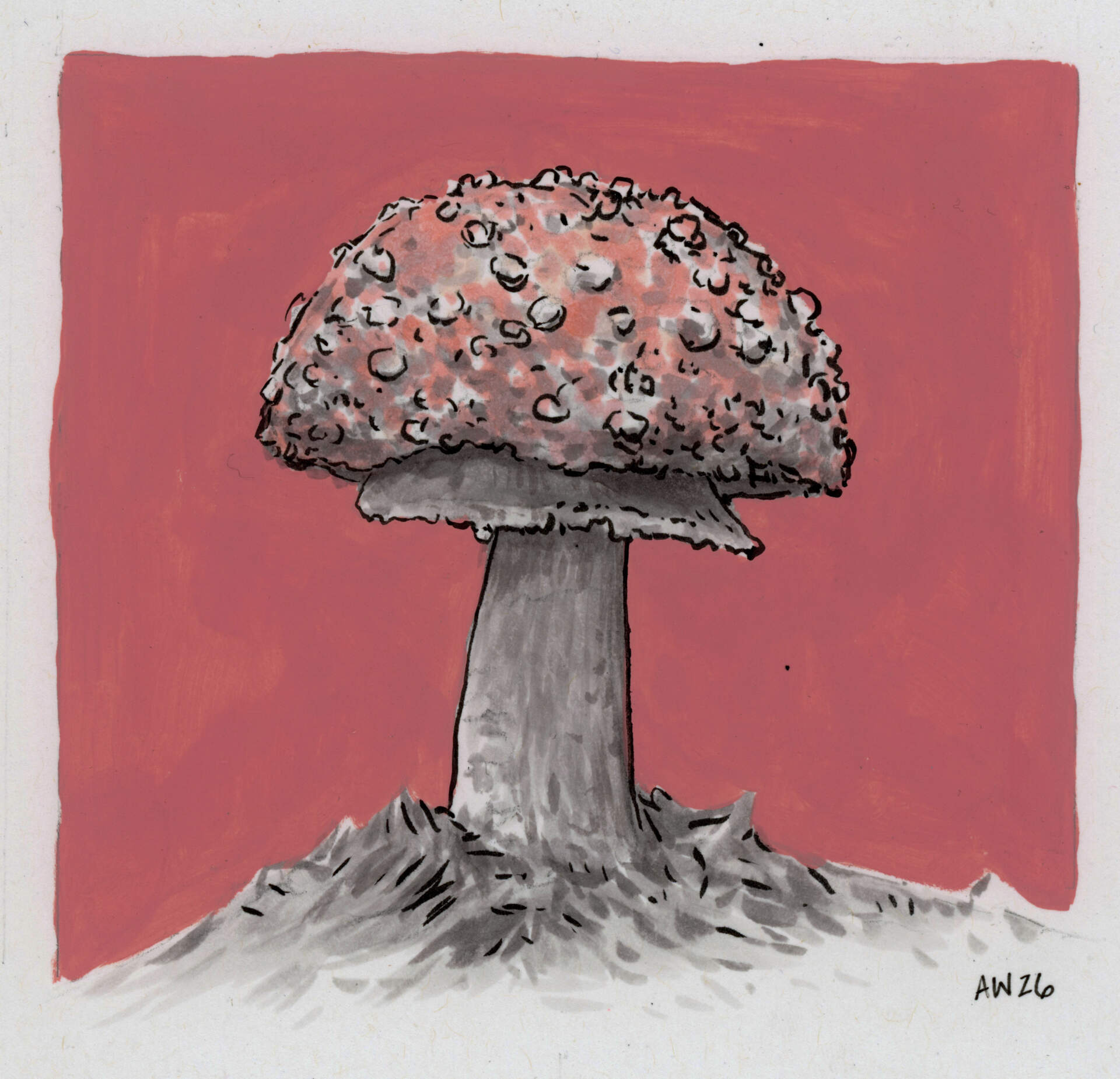 Fly Agaric