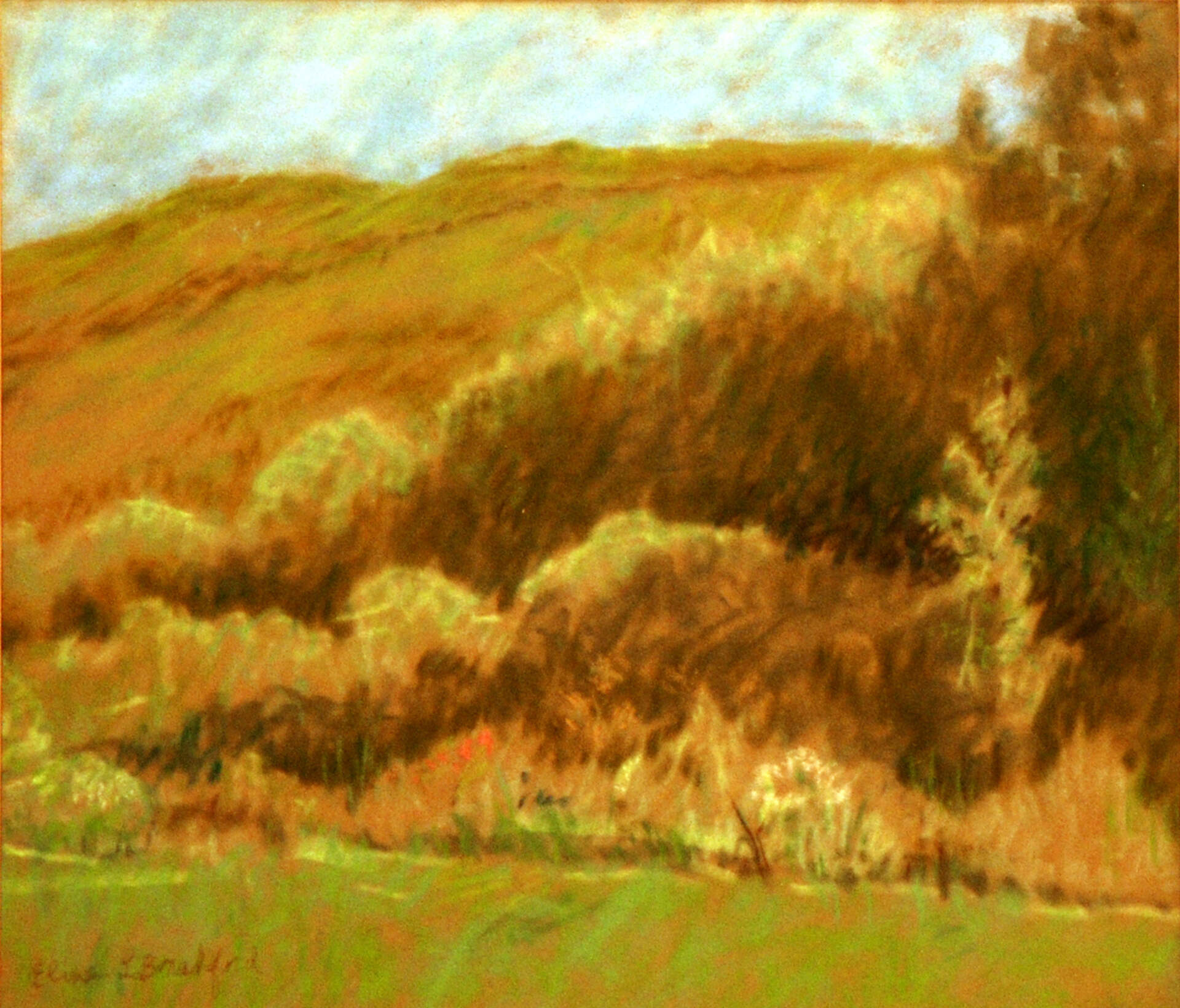 Untitled