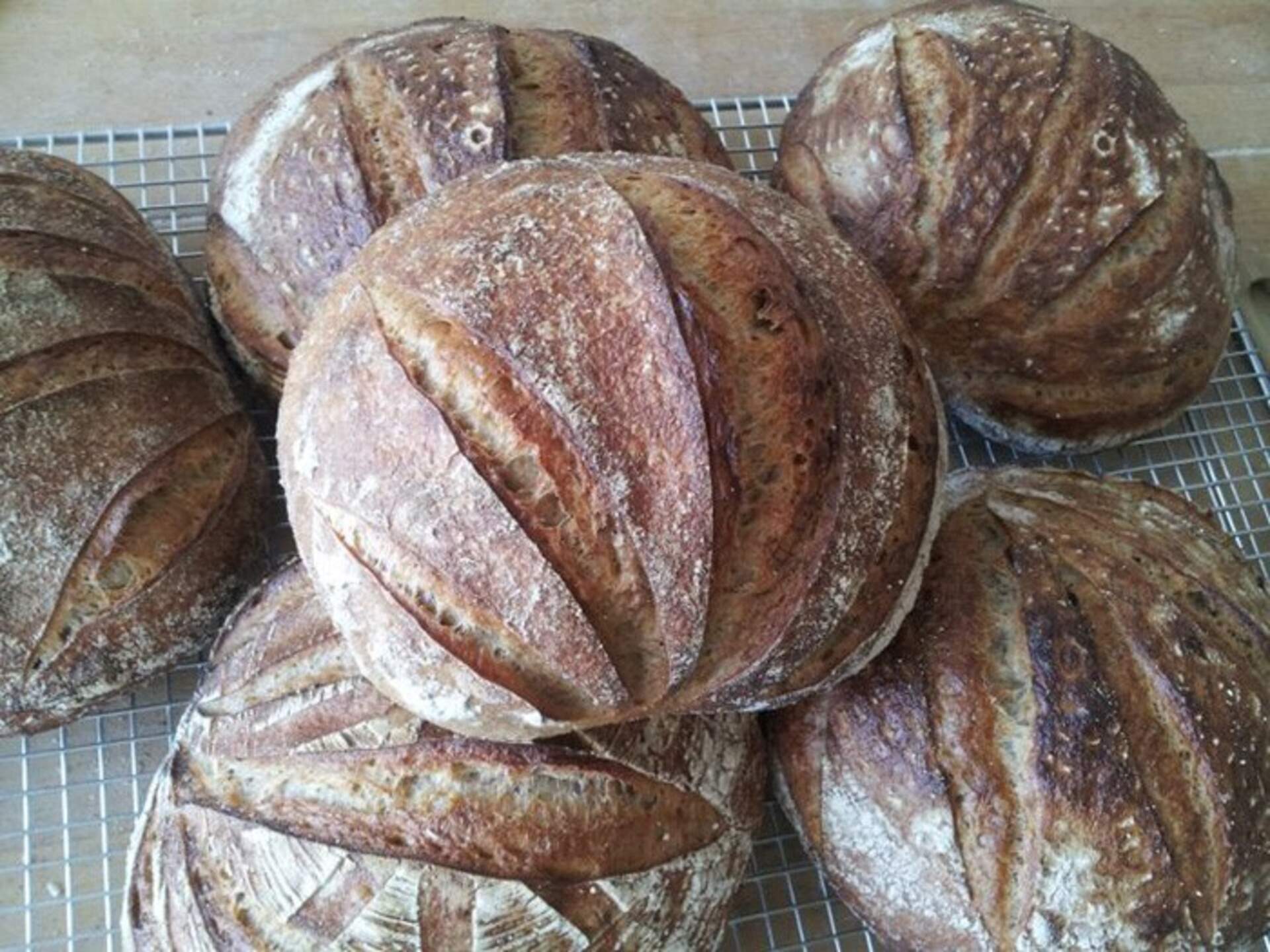 Bread and Water: Watercolor Painting at BreadHive