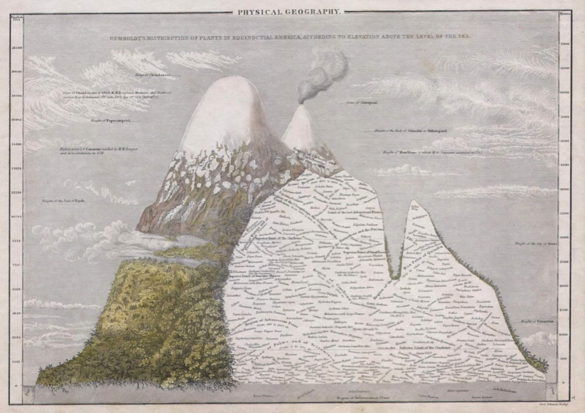 Humboldt’s Distribution of Plants in Equinoctial America