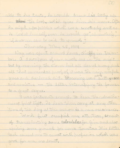 Untitled (Journal Pg 3)