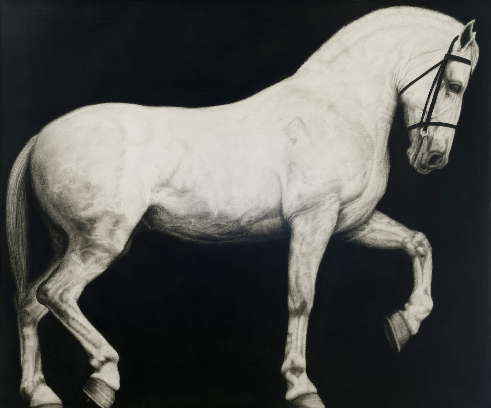Untitled (Horse)