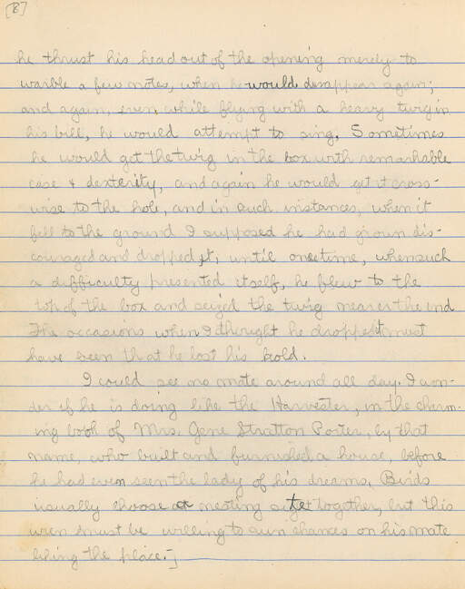 Untitled (Journal Pg 8)
