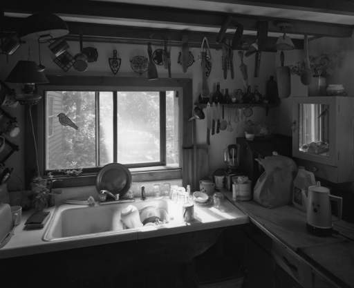 Kitchen Sink (from the Pictures from Home series)
