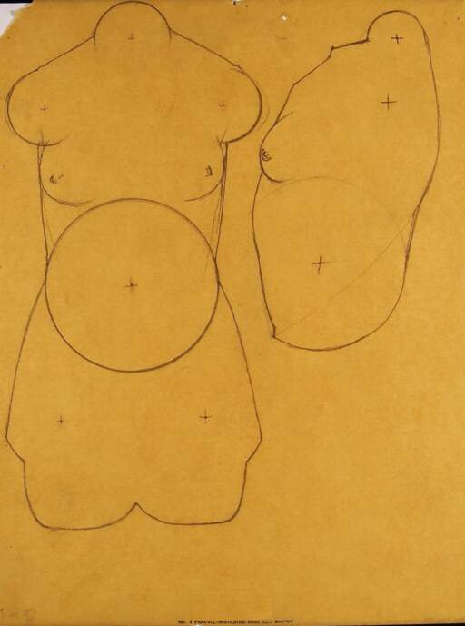 Two Torsos for Study Aids