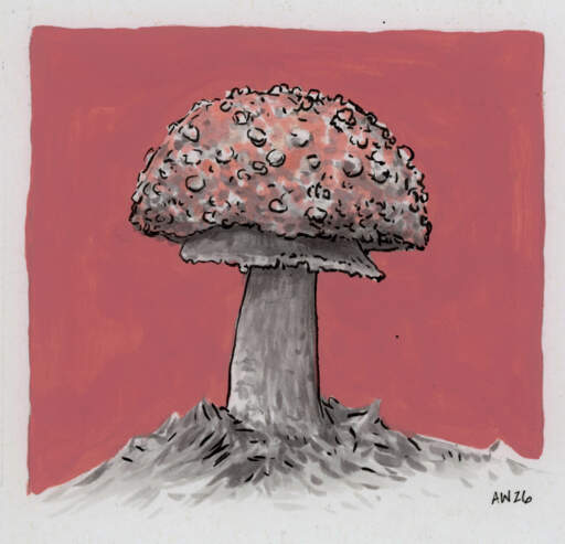 Fly Agaric