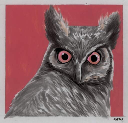 Great Horned Owl