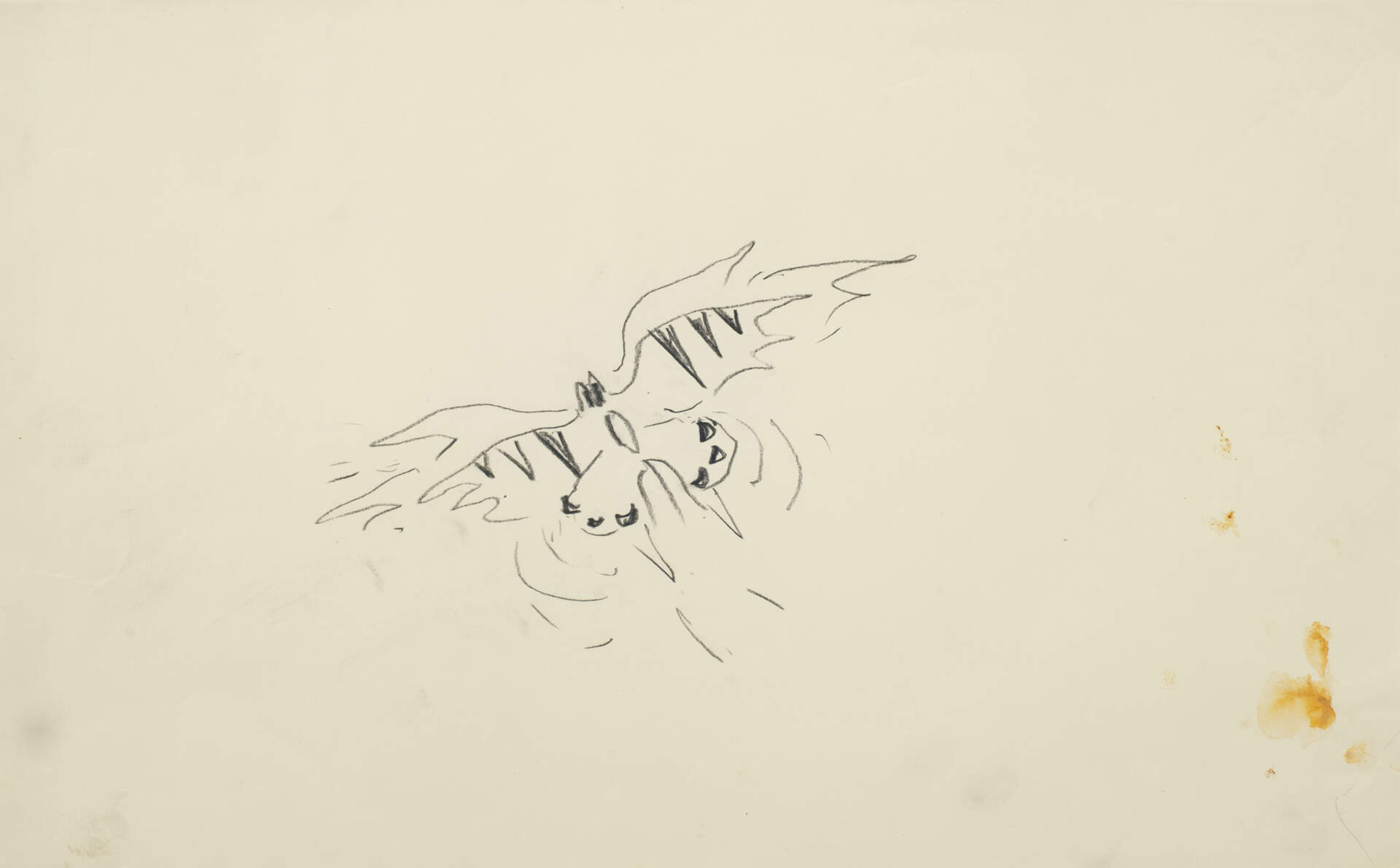 Study for Butterfly and Poppies