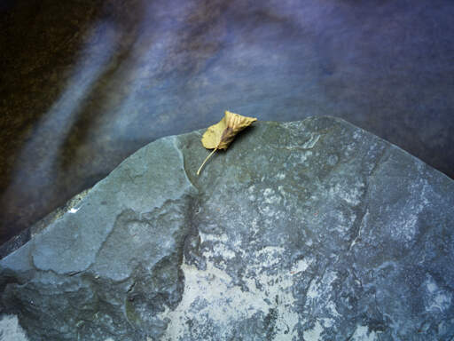 Stony Brook State Park, New York