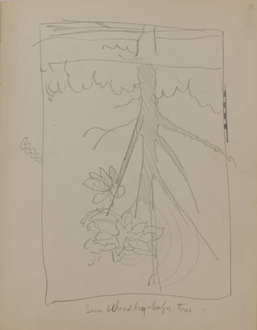 Untitled (tree with blossoms)
